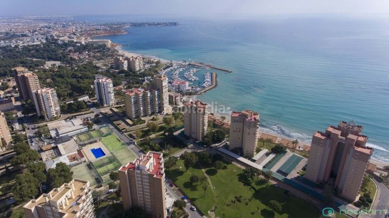 Foto 798cf3f3-9b74-46e5-ac17-41f4095ae03d. Pis amb aparcament a Campoamor Orihuela
