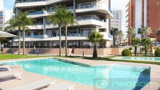 Appartement  N/a