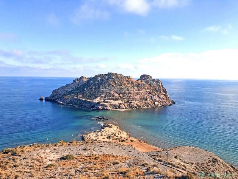 Foto e175d7b9-355d-46fc-ae99-eaedcd614c55. Pis a Isla del Fraile Águilas