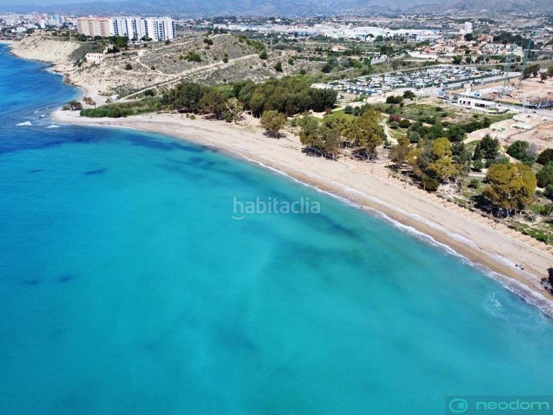 Foto 139ca616-7306-4c7c-89c1-c02b28b7d567. Pis a Platja de Torres Vila Joiosa (la)