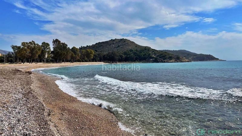 Foto d61f2aa5-0e1a-4066-80aa-0a8ecbda24e2. Pis a Platja de Torres Vila Joiosa (la)