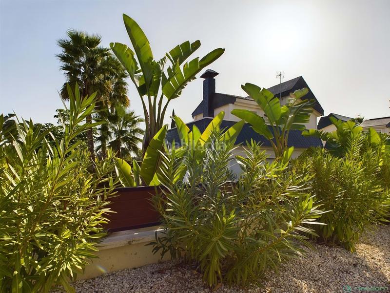 Foto 9e78a99f-ceff-43f5-826f-21e9d3130af6. Casa amb calefacció aparcament piscina a Polop