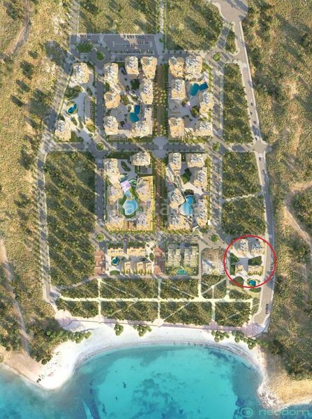 Foto c93a8e94-b1f3-4d75-95ee-6e332dd0972e. Pis a Platja de Torres Vila Joiosa (la)
