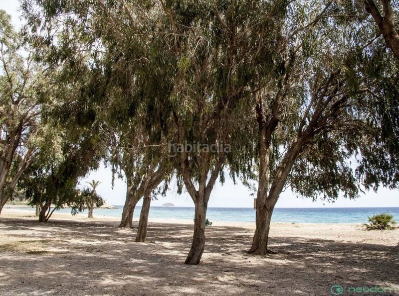 Foto 611059fe-da86-4259-a119-a05b6766980b. Pis a Platja de Torres Vila Joiosa (la)