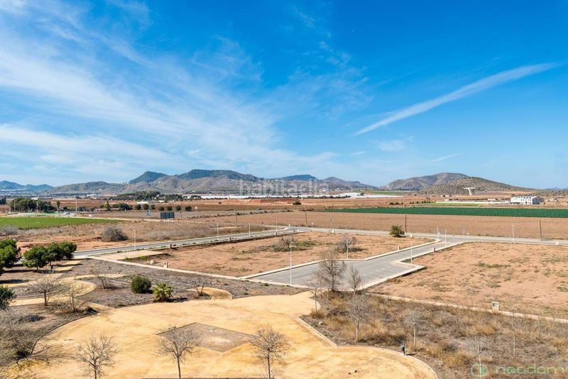 Foto 5e42738a-52ff-478e-ab56-60ac1c4c7544. Pis a Islas Menores-Mar de Cristal Cartagena