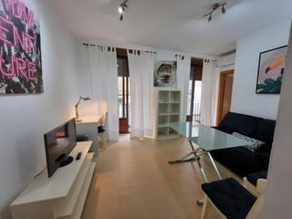 Lloguer Pis a Plaza de fortuny 24. Piso en alquiler estudiantes universidad curso