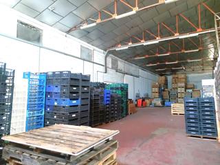 Nau industrial  Cedro
