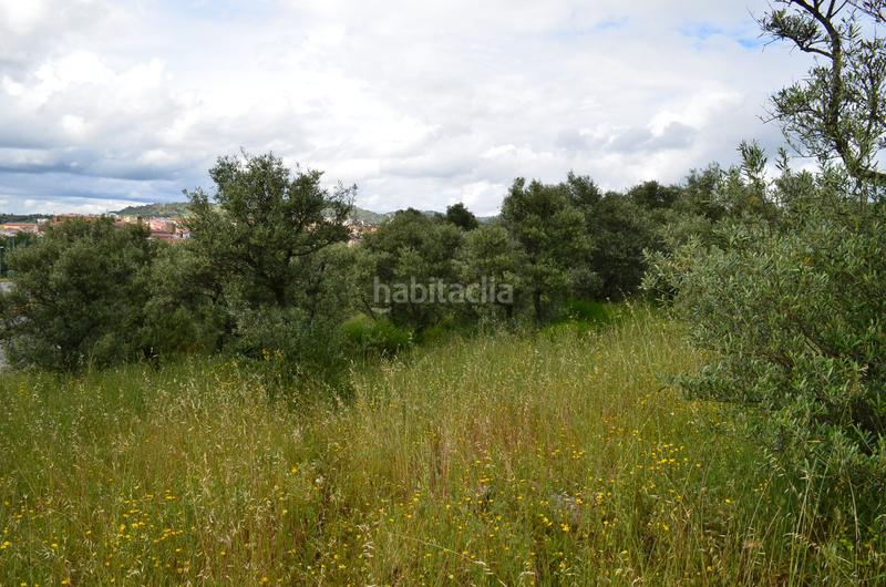 Foto f2f4fc1b-c76f-45a1-82c0-744dee7d1856. Finca rústica en n/a finca en Zona Sur - Av. De España - San Miguel Plasencia