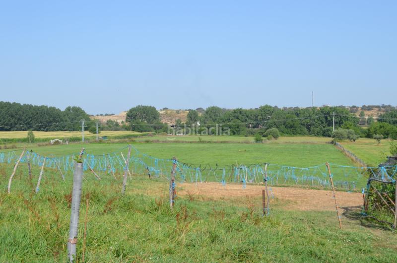 Foto 40ba5b31-22e9-469b-8d49-7ad3f7272312. Propriété dans n/a dans Carcaboso