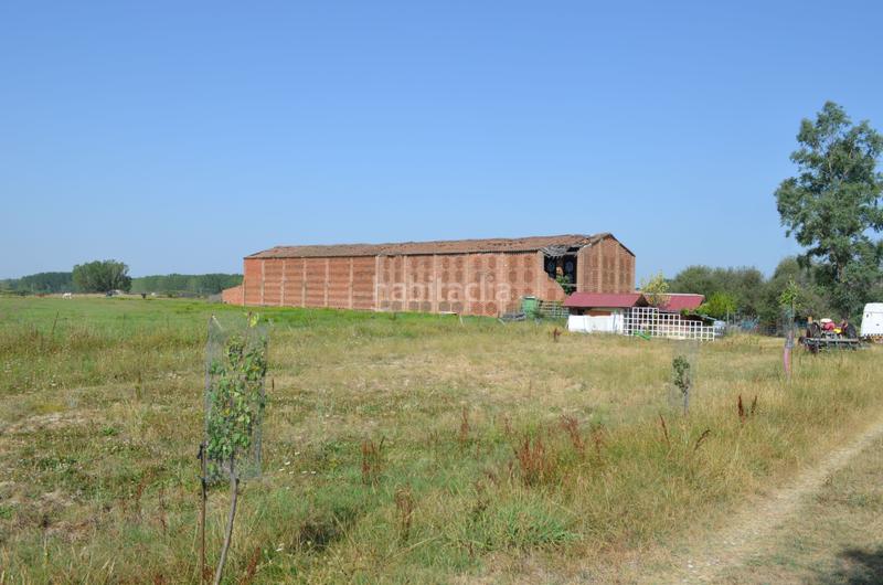 Foto e8ab0939-b922-4db1-b9b7-c84ea639a82b. Propriété dans n/a dans Carcaboso