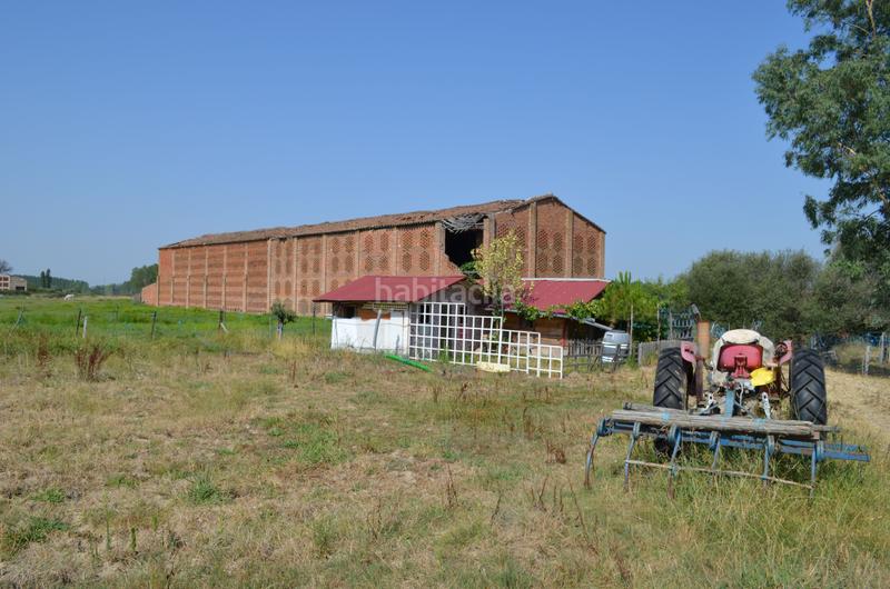 Foto fb06e7a2-4ce4-4bd1-b241-431e6a3df85e. Propriété dans n/a dans Carcaboso