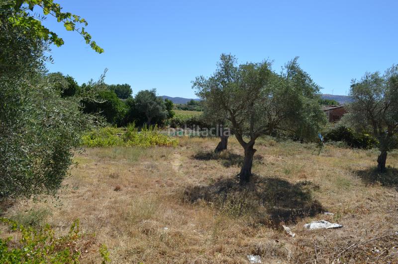 Foto 7f134618-abd7-4a6c-97d1-52f26d17763c. Terreno residencial en n/a en Carcaboso