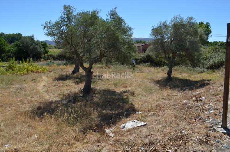 Foto dcda4a11-ff69-4753-9487-094e9b48f1f7. Terreno residencial en n/a en Carcaboso