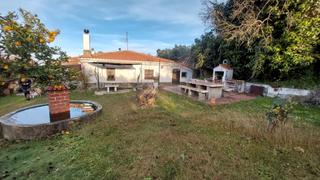 Propriété à Calle virgen puerto 20. Finca con casa plasencia