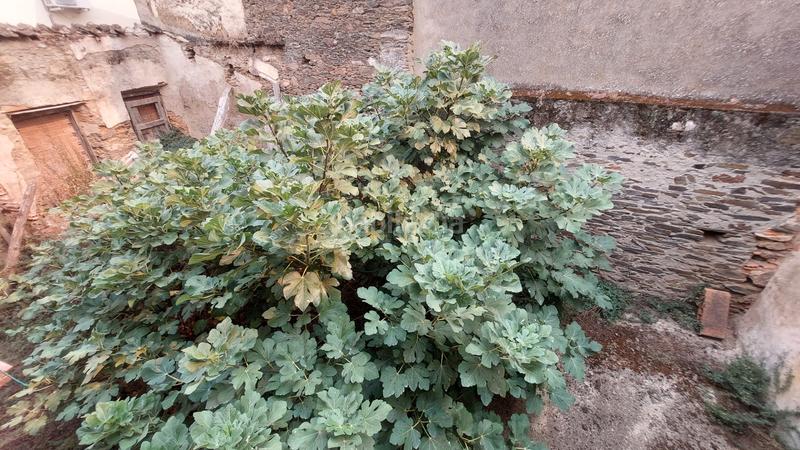 Foto 32309428-7bc7-4c06-b915-43b473f90a63. Casa en calle de la cuesta 2 casa en Mirabel