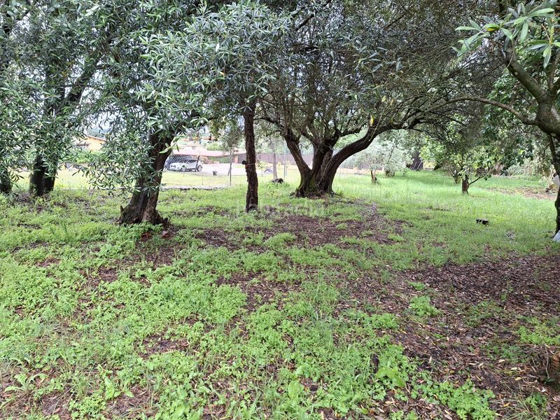 Foto aedd4d61-2a85-4b68-b012-a5e523e0da4e. Finca rústica a n/a a Zona Norte - Hospital - Urbanizaciones Plasencia