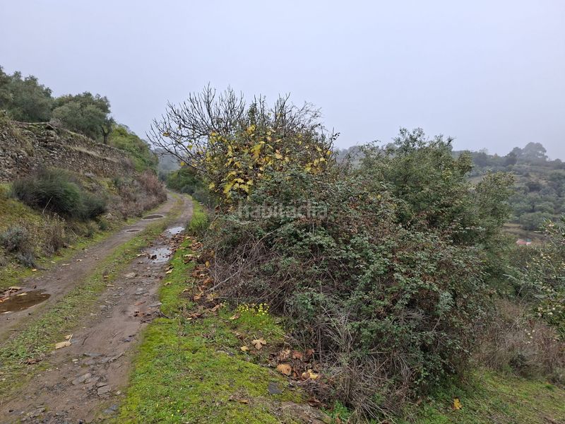 Foto 2b14baa8-60a9-44c1-8227-72ff56272d14. Finca rústica a n/a a Malpartida de Plasencia