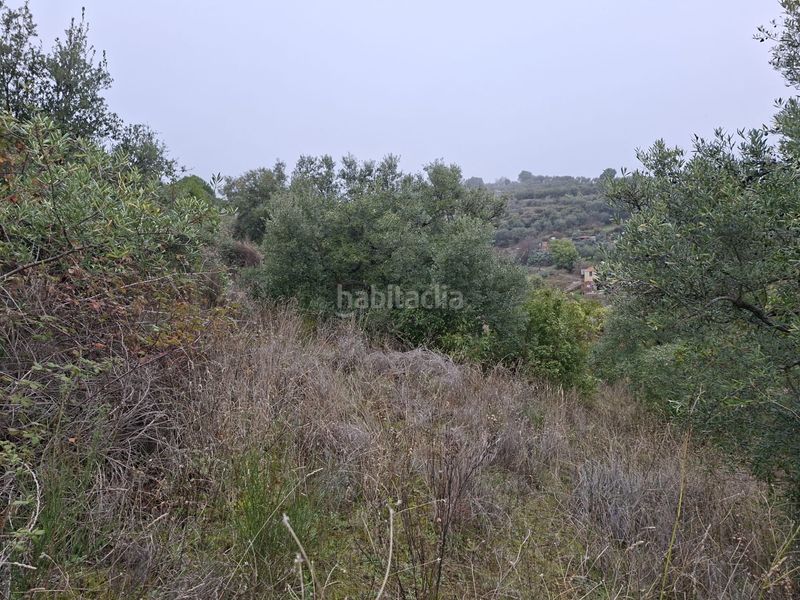 Foto 843fe502-8bbc-4655-8c59-54f2a6a56499. Finca rústica a n/a a Malpartida de Plasencia