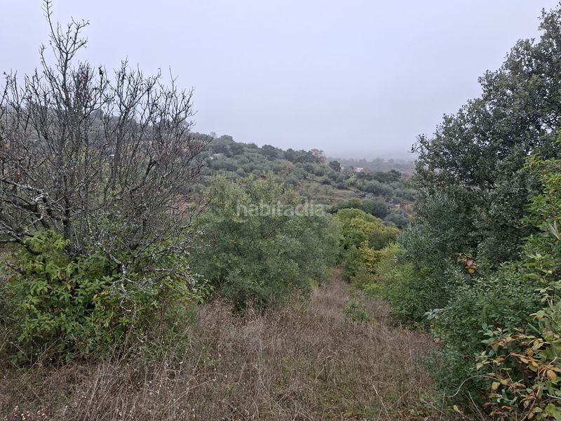 Foto a01b19c4-7804-4f62-a1e5-ba5ed336dfbf. Finca rústica a n/a a Malpartida de Plasencia