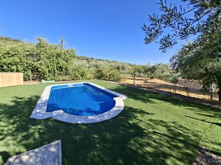 Fondo rustico  N/a. Finca con piscina a 4km de plasencia