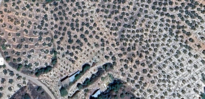 Foto 074c9273-8c15-4561-ba6d-a794b2d5914e. Propriété dans Moclín