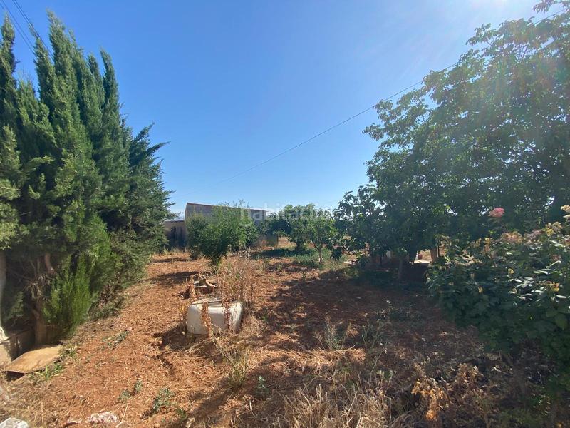 Foto 2727c5c4-53fa-47f4-b3af-d182a0e06b29. Finca rústica a Moraleda de Zafayona