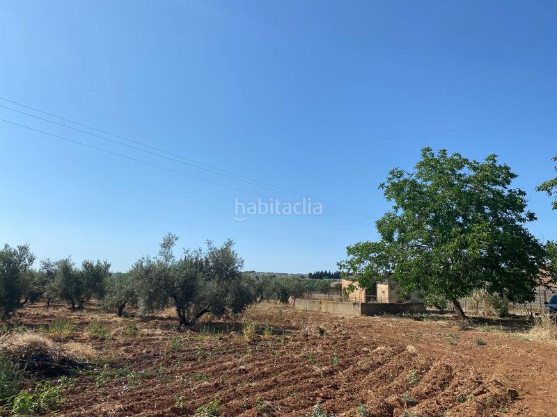 Foto bba75dd5-58d0-45cc-ad27-4bab09369e8c. Finca rústica a Moraleda de Zafayona