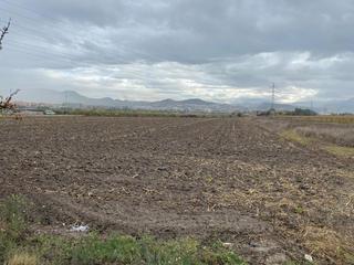 Rural plot in Rosaleda - Juventud. Parcela de 27,5 marjales junto a puleva