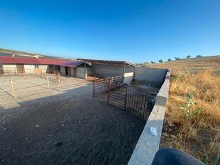 Rural plot in Chimeneas. Parcela con olivos y cercado para animales