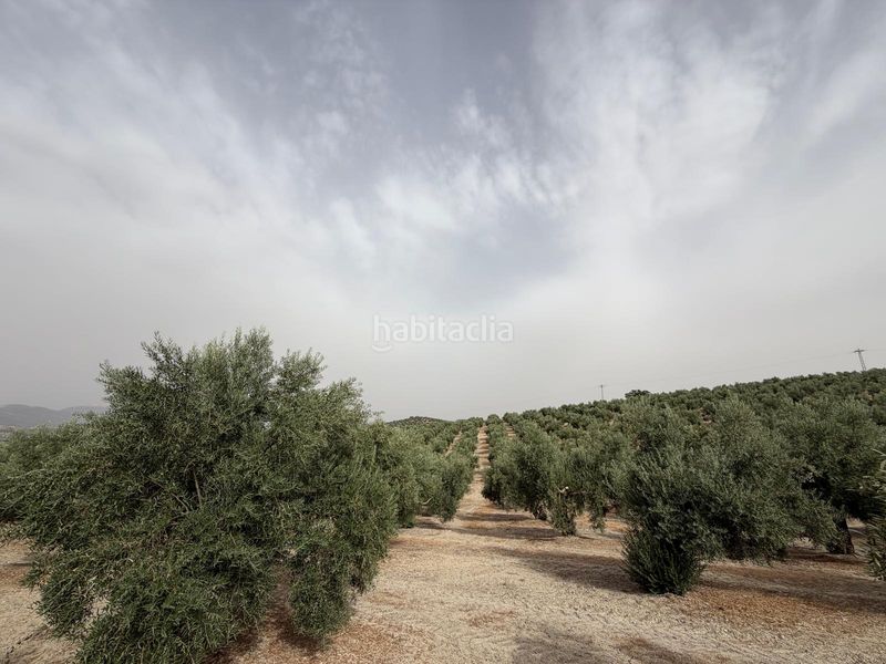 Foto d7739842-420c-4ad8-a9fb-8a0f52015136. Finca rústica a Iznalloz