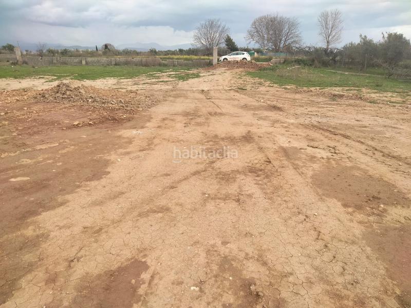 Foto 09a9a0bd-af5b-44c0-acfd-5e089042999e. Finca rústica a Belicena Vegas del Genil