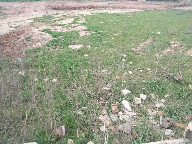 Foto 2b663cbe-a4ee-428a-baed-e7bcd7302e5f. Finca rústica a Belicena Vegas del Genil