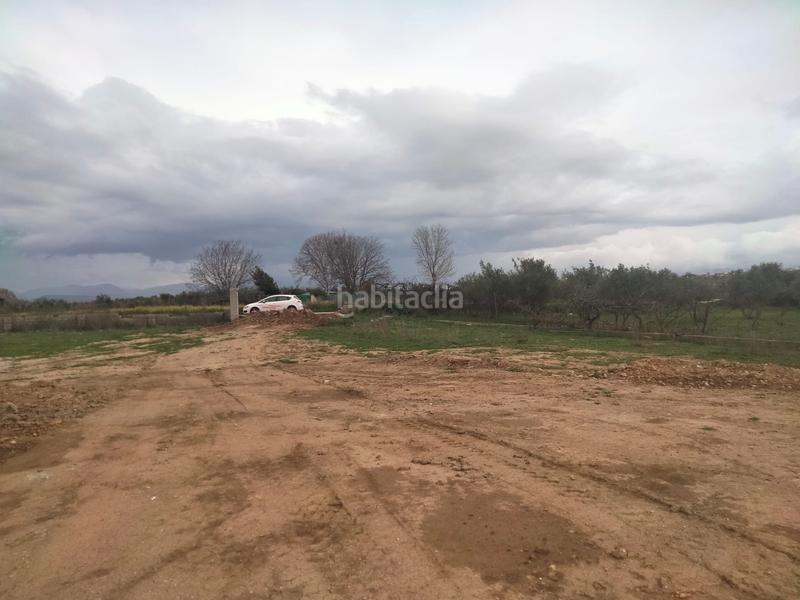 Foto 391cde15-f31d-4f40-9e0c-28f478679083. Finca rústica a Belicena Vegas del Genil