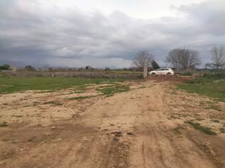 Propriété à Belicena. Parcela vega terreno