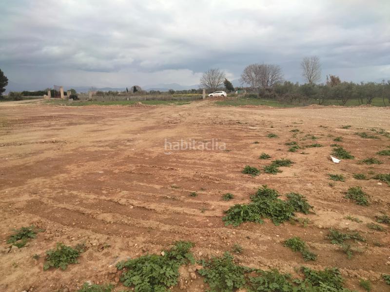 Foto d885e864-1a9e-49d2-8261-f8eba7e5e13d. Finca rústica a Belicena Vegas del Genil