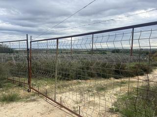 Fondo rustico  De bonares. Se vende maginifica finca