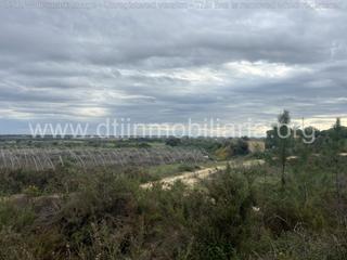 Terreno residenziale  De las verillas. Magnifica finca de regadio