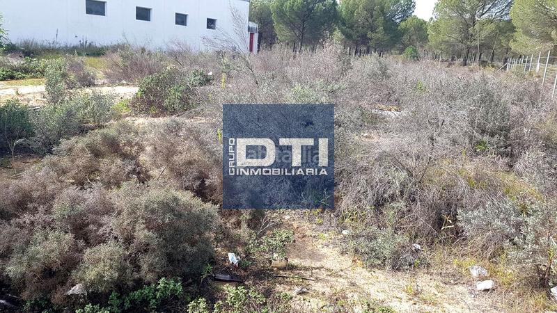 Foto 04247a10-aae5-4f6d-9bd0-2ed62521339d. Residential plot in Almonte Almonte