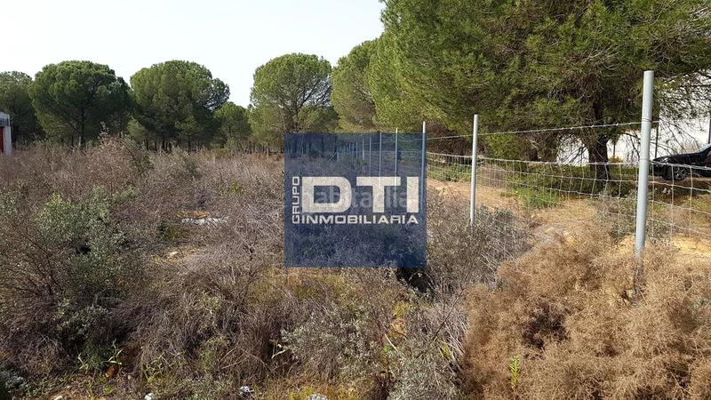 Foto 395b57b9-f1c0-45ca-aedd-e9a2bc39b9f2. Residential plot in Almonte Almonte