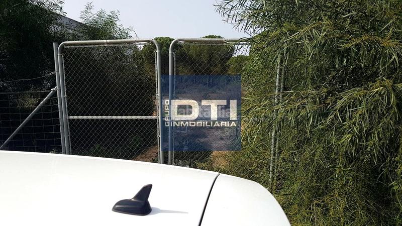 Foto 5a83724f-2de7-41d9-b891-5f6788b8c709. Residential plot in Almonte Almonte