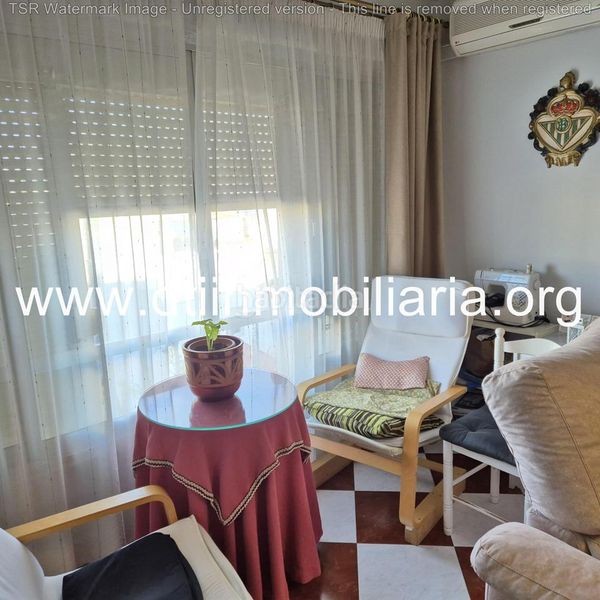 Foto 030d8898-8f80-4614-9905-81676ac36d70. Pis a Palma del Condado (La)