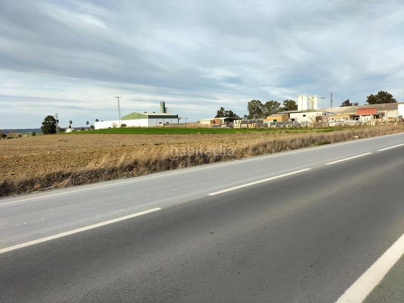 Foto bfe11e18-b226-4284-b9a0-19ef2224d9f2. Terreny residencial a Palma del Condado (La)