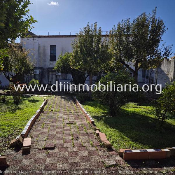 Foto 97bebd70-8631-4b67-83aa-ad7402bc423b. Casa a Palma del Condado (La)