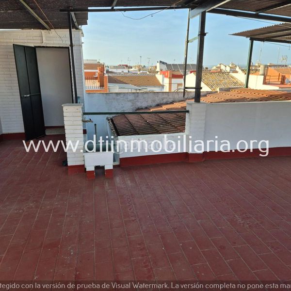 Foto 019e1afe-e6f0-4ee6-ace0-83dfa5cc7ae2. Pis a Palma del Condado (La)
