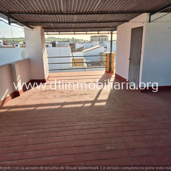 Foto 557725d5-60f3-485d-9f0f-beb3d61bcafe. Pis a Palma del Condado (La)