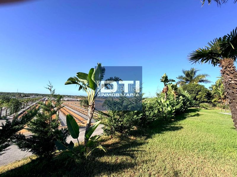 Foto 1510e869-3616-48a7-b5ce-95ffbfc7a25d. Casa a Gibraleón