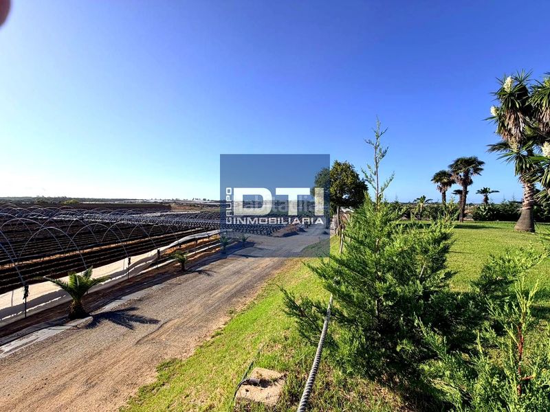 Foto cf315ac4-bf23-48a5-afba-de5912dffeed. Casa a Gibraleón