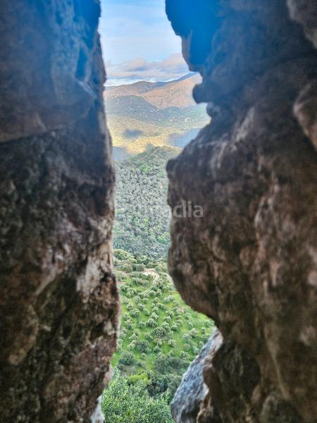 Foto 0180965f-55a8-4bf1-b73e-e05cb56d0396. Mas dans Gaucín