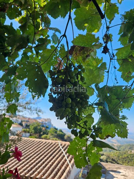 Foto aab53a69-993d-4172-bb48-24c378e3f892. Mas dans Gaucín