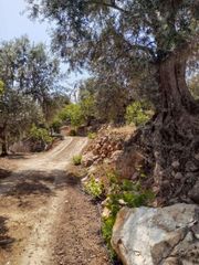 Mas à Valle (El). Finca en venta en pinos del valle.